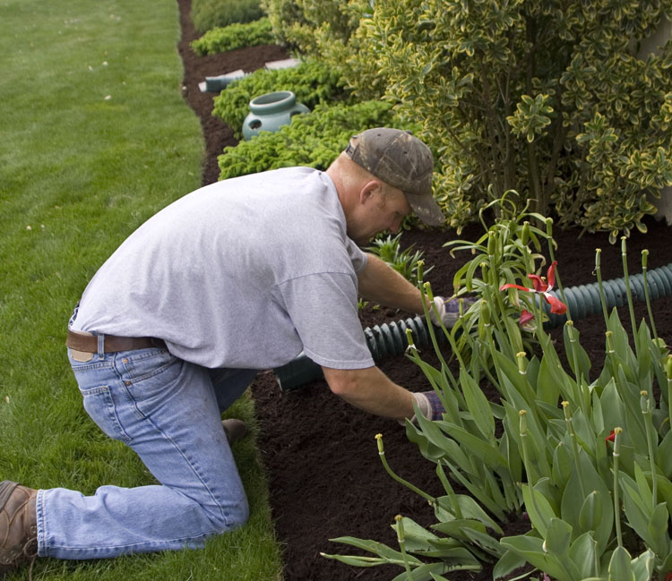 Residential and commercial landscaping and maintenance services in Gatineau, Hull, Aylmer, Cantley, Chelsea, the greater Outaouais region and Ottawa