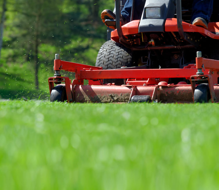 Residential and commercial landscaping and maintenance services in Gatineau, Hull, Aylmer, Cantley, Chelsea, the greater Outaouais region and Ottawa